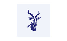 Impala Platinum Holdings Logo