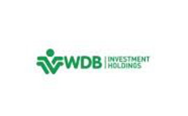 WDB Investment Holdings Logo